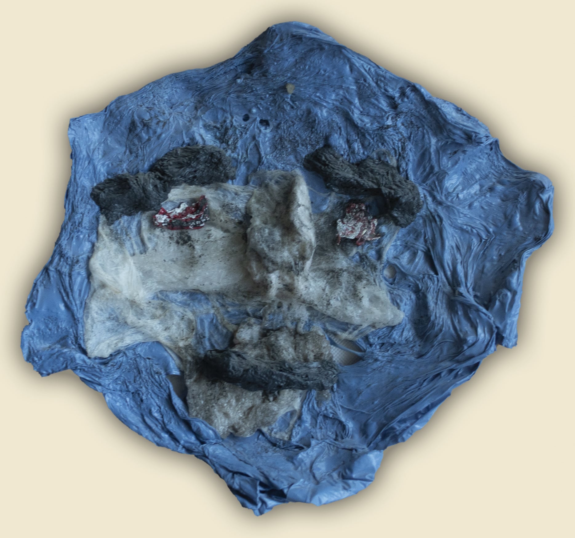 Arte de Ariel Benzacar